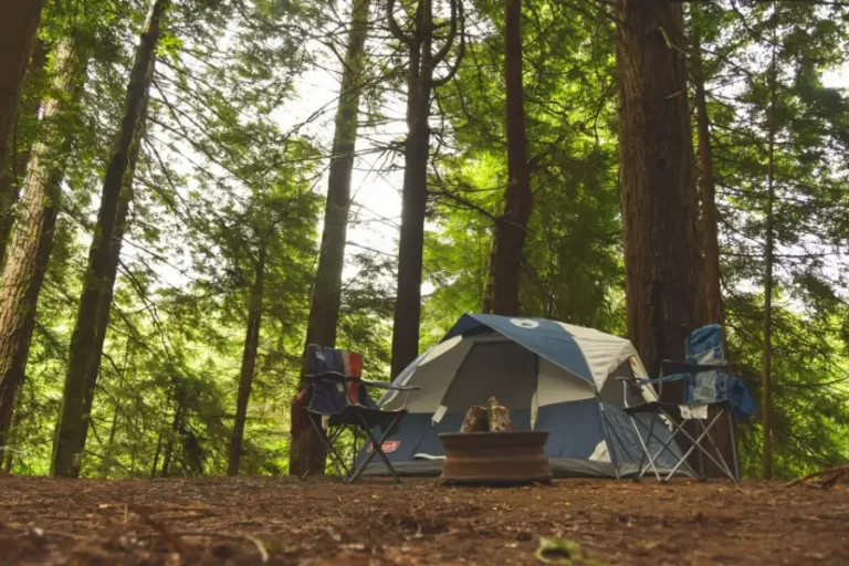 how to clean your tent after camping