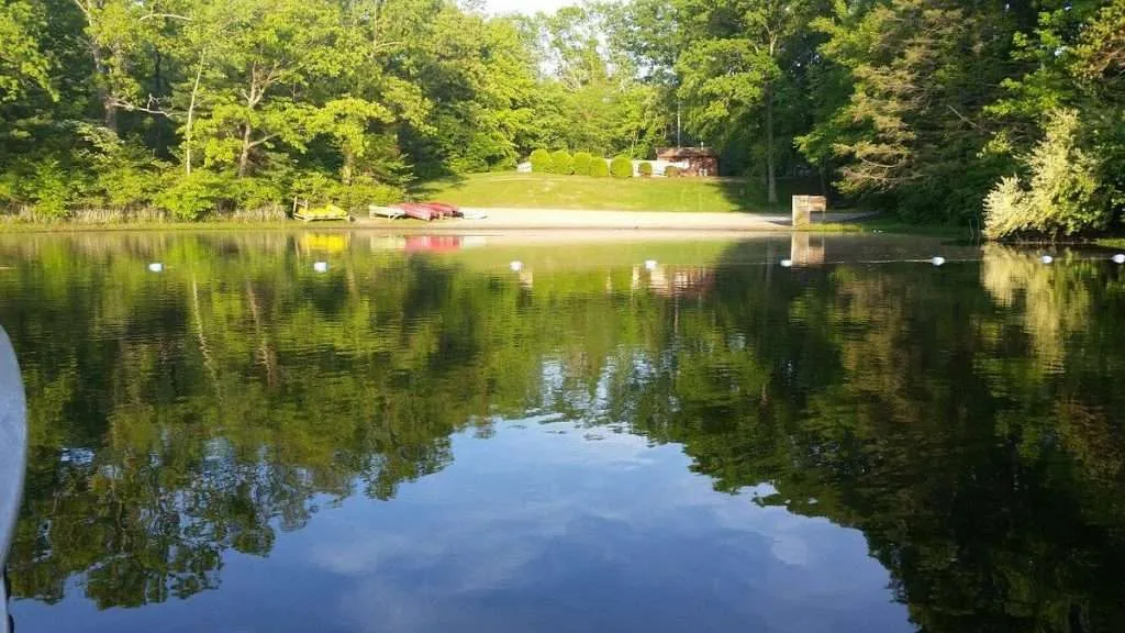 Panther Lake Beauty