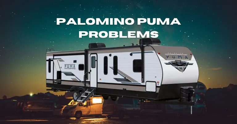 9 Palomino Puma Problems: Common Issues and Solutions