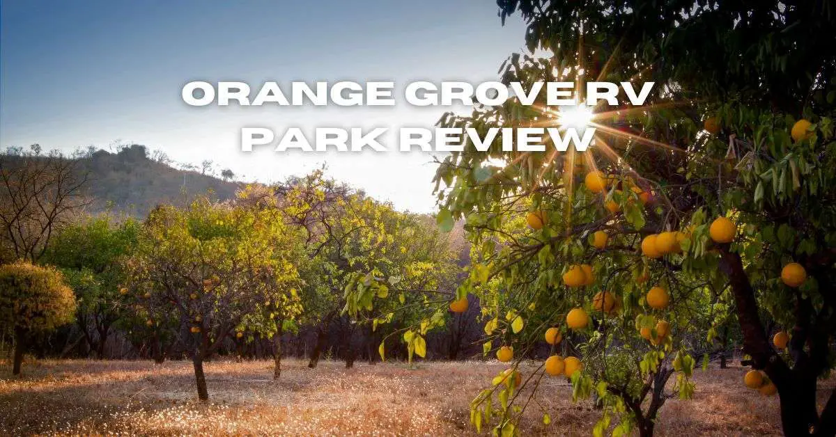 Orange Grove RV Park Review