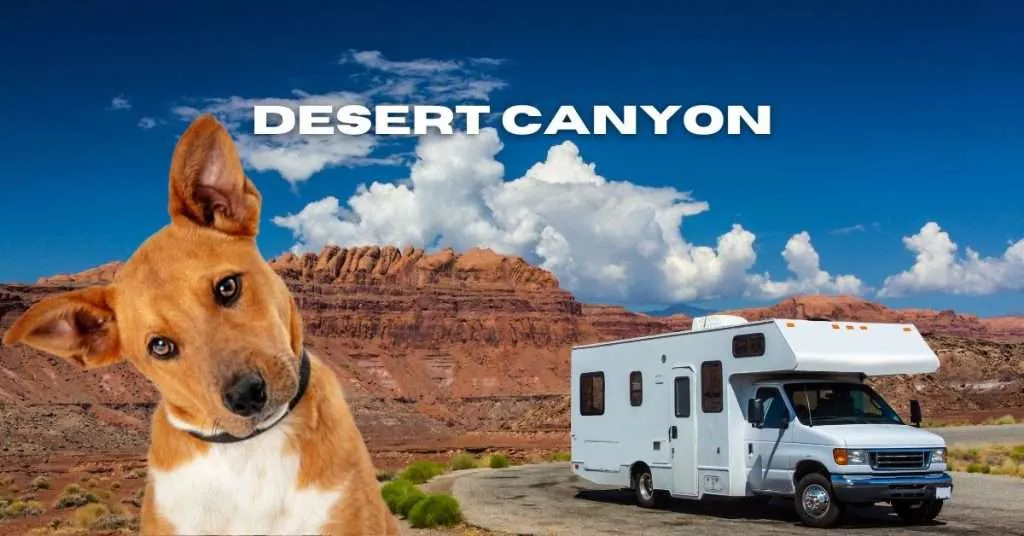 Desert Canyon RV Park Accommodation Details