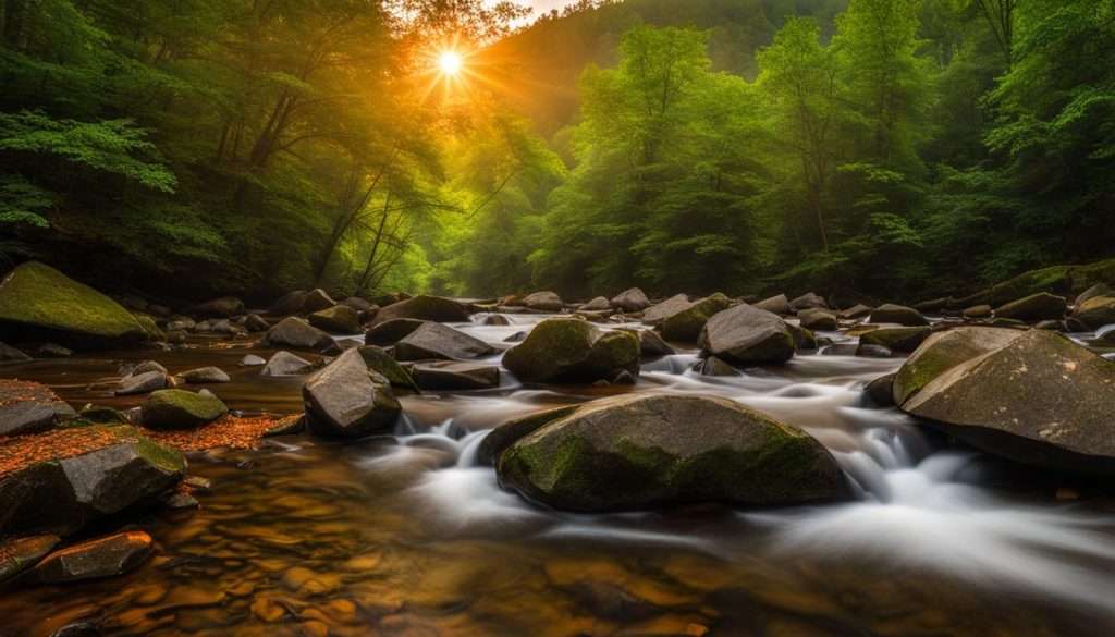 Great Smoky Mountains National Park