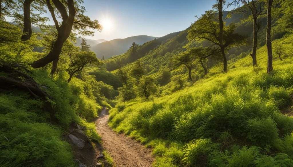 Hiking trails near Oxford OH